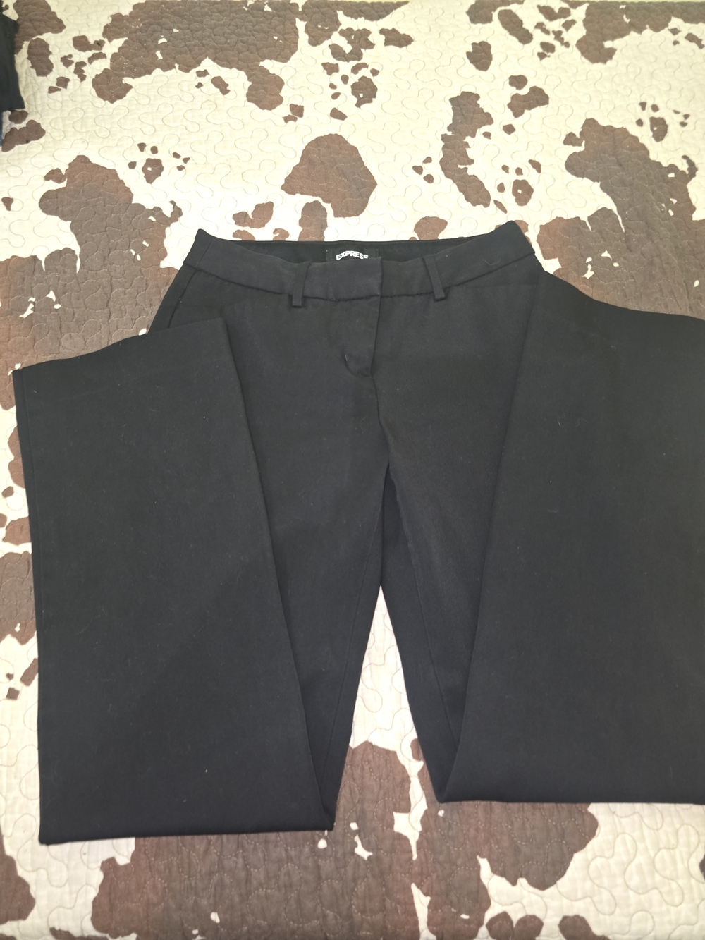 Express Straight Leg Women’s Pants in Black